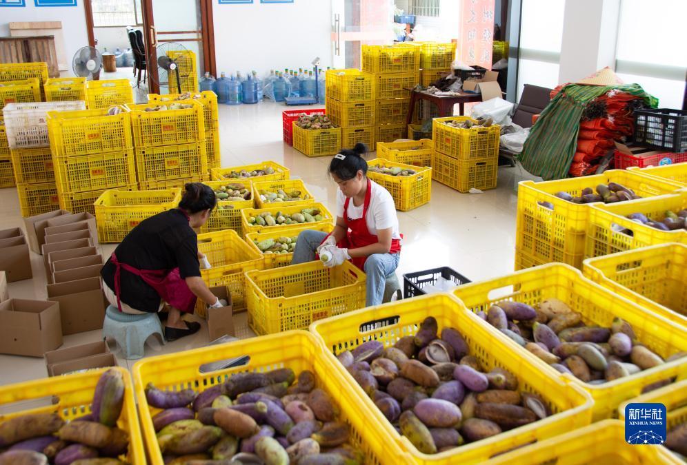 威尼斯游戏大全